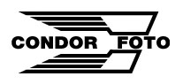 Condor Foto