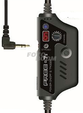 FREE-7s Receptor