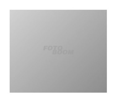 PSHA290 Lamina Friccion