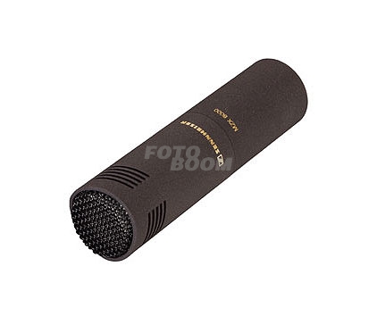 MKH8040