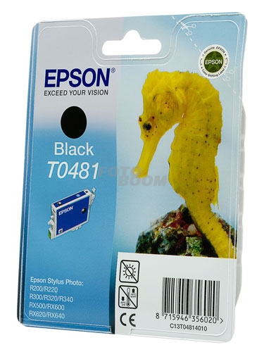 T0481 Negro