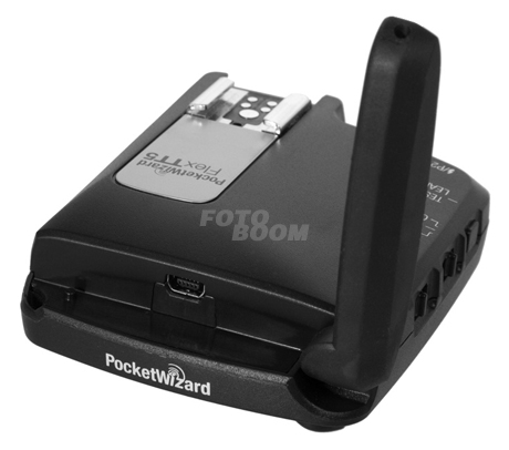 Flex TT5 Transceptor Nikon