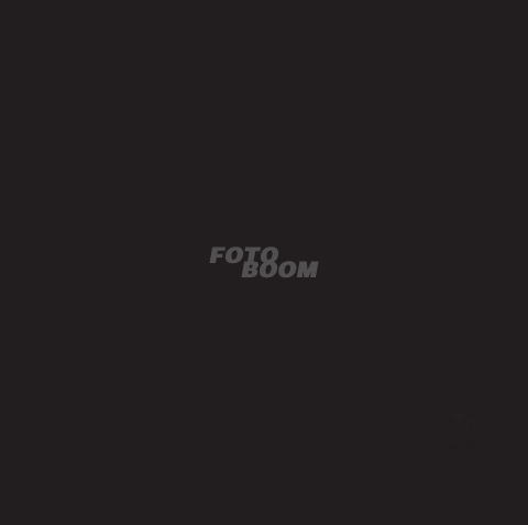 Fondo BDP-1528