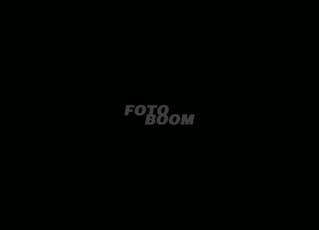Fondo BW-01Negro