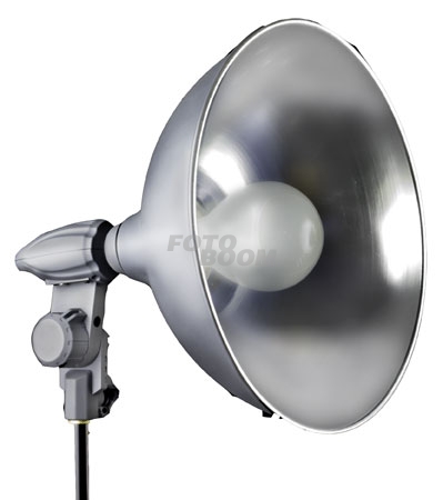 Equipo 2 Antorchas EZ-LITE 500w