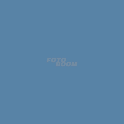 China Blue Fondo Corto