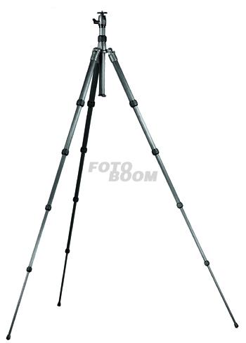 G1155T