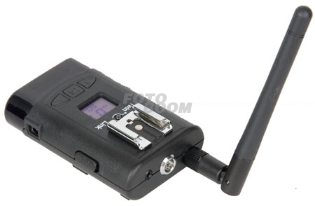 TWNLINK T2RxD Receptor