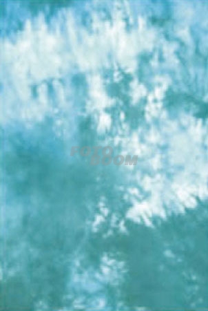 Fondo BC-009