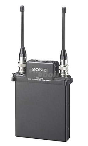 WRR-855S/K38 Receptor WRR-855S/K38 Receptor