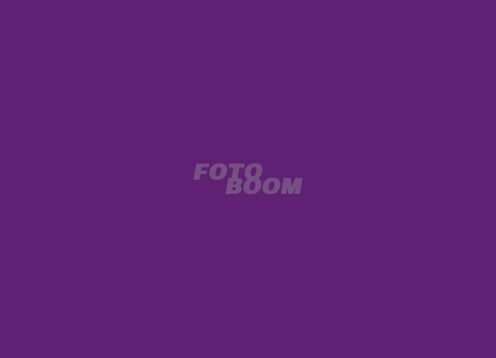 Fondo BW-03 Morado