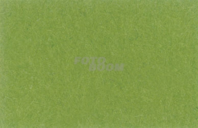 Fondo Cromakey Plegable 5981