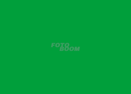 Fondo BW-07 Verde Fondo BW-07 Verde