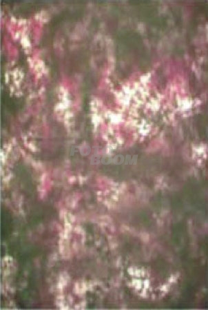 Fondo BC-008 Fondo BC-008