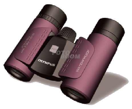 8x21 RCII WP Magenta 8x21 RCII WP Magenta