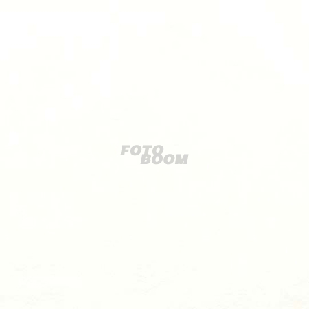 Fondo Vinilo Blanco 7761
