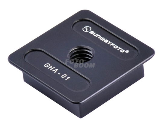 GHA-01