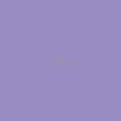 Lilac Fondo Corto