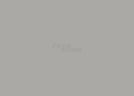 Fondo BW-08 Gris