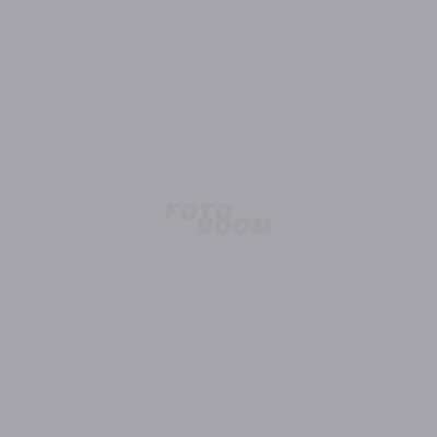 Fondo Papel Corto Storm Grey 26