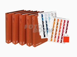 FFC123 Hojas