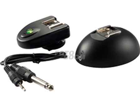 LRT-1G Radio Trigger