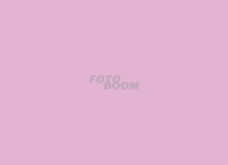Fondo BW-012 Rosa