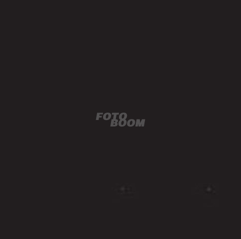Fondo Papel Corto Negro 20
