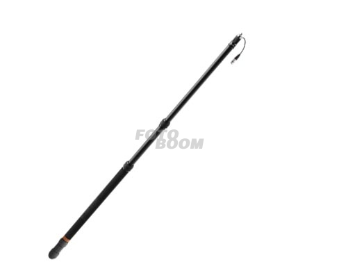 BC06P