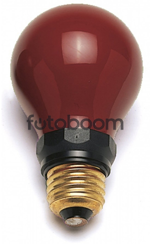 Bombilla Roja 15W