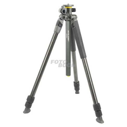 Alta Pro 2+ 263CT