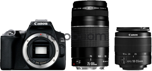 EOS 250D Negra + 18-55mm f/3.5-5.6 DC III + 75-300mm f/4-5.6 DC-III EF + SB130 + SD 16GB EOS 250D Negra + 18-55mm f/3.5-5.6 DC III + 75-300mm f/4-5.6 DC-III EF + SB130 + SD 16GB