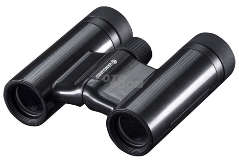 10x21 Vesta Black Pearl 10x21 Vesta Black Pearl