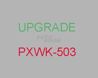 PXWK-503 PXWK-503