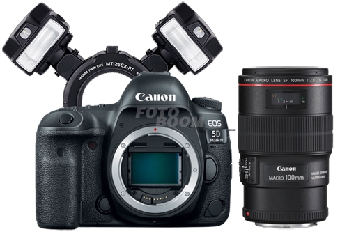 EOS 5D Mark IV + 100mm f/2.8L Macro USM + MT-26EX-RT -ODTG- EOS 5D Mark IV + 100mm f/2.8L Macro USM + MT-26EX-RT -ODTG-