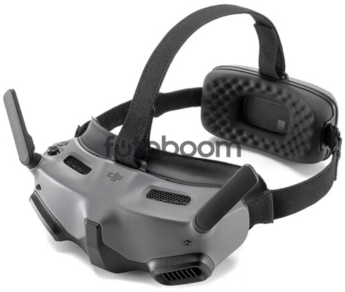 Goggles Integra