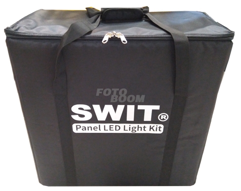 Triple Light Case