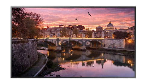 TV QE1D QLED 65” 4K Smart TV 2024