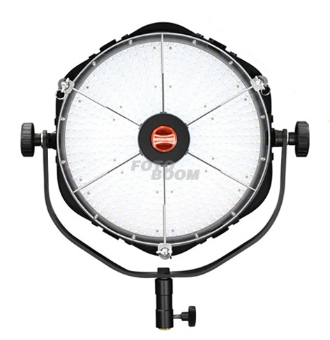 ANOVA PRO 5600ºK 50º ANOVA PRO 5600ºK 50º