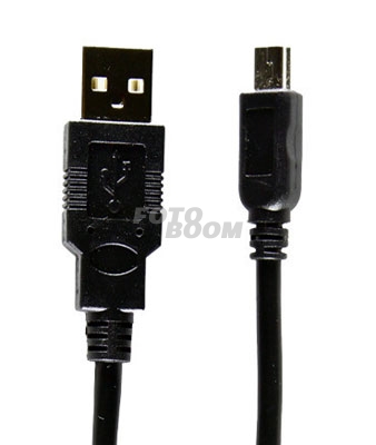 BIT 070 Cable