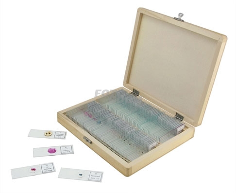 Caja con 100 preparaciones variadas