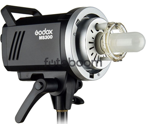 MS300