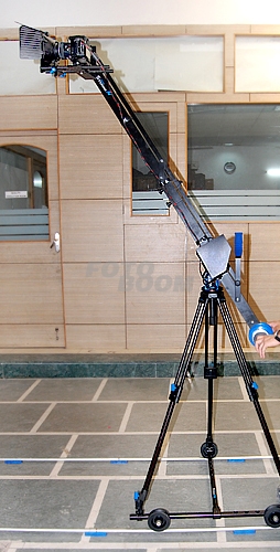 Studio Dolly