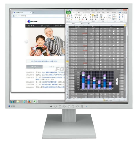 FlexScan S1934 + Garantía Eizo Iberia 5 años