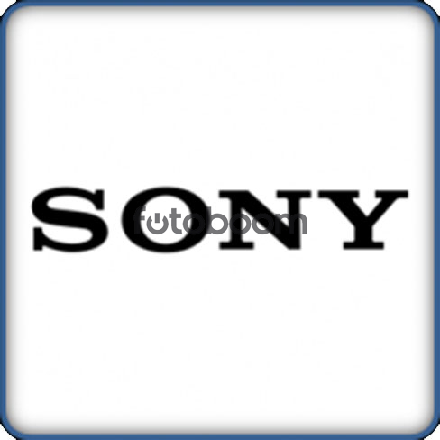Repuesto Visor FS7