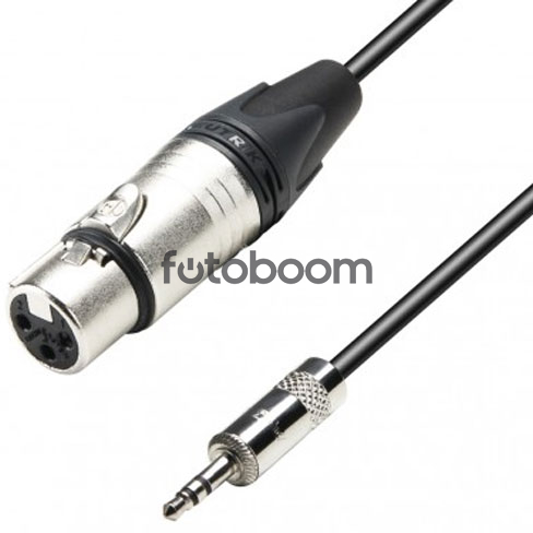 XLR a Minijack