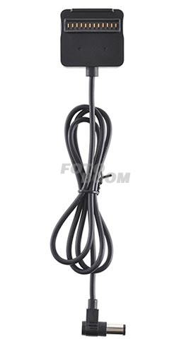 P12 Cable de carga