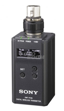 DWT-P01N/33 DWT-P01N/33