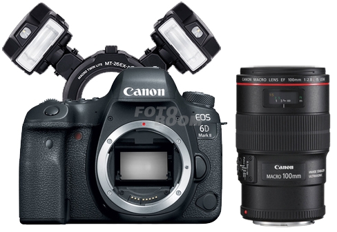 EOS 6D Mark II + 100mm f/2.8L Macro USM IS + MT-26EX RT -ODTG- EOS 6D Mark II + 100mm f/2.8L Macro USM IS + MT-26EX RT -ODTG-