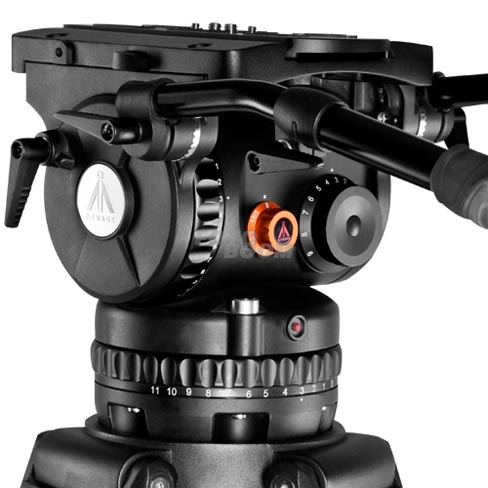 GH40 PLUS
